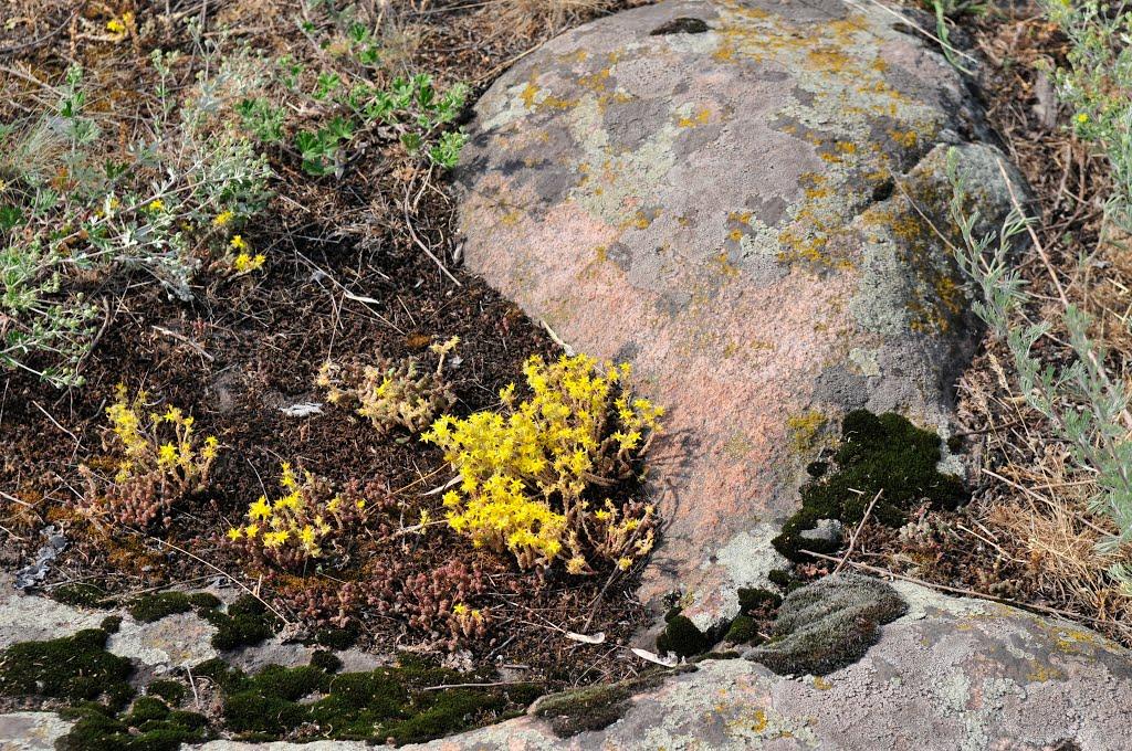 Валове з panoramio.com - Софіївка