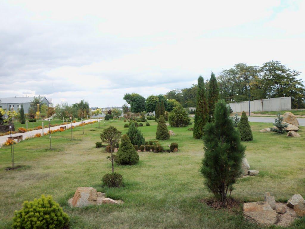 Новослобідка з panoramio.com - Новослобідка