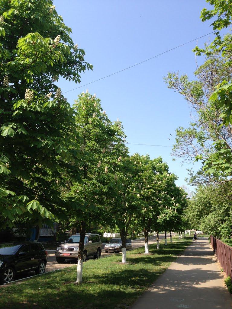 Теплодар з panoramio.com - Теплодар