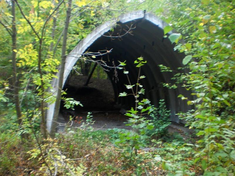 Введенка з panoramio.com - Введенка