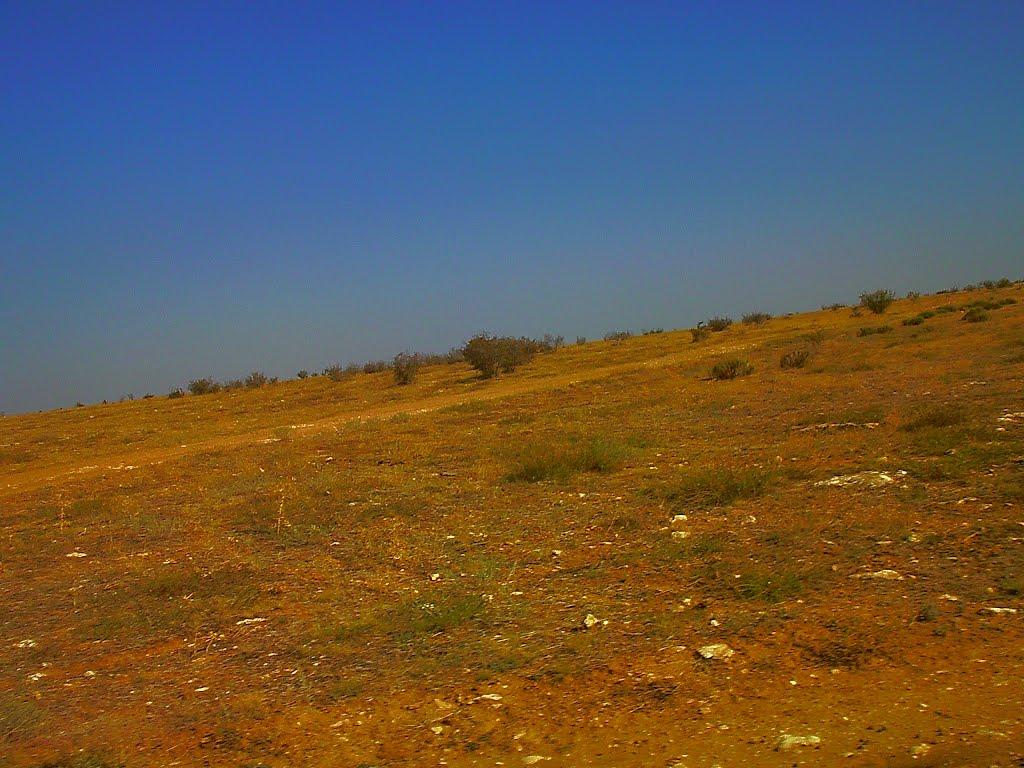 Кочергіне з panoramio.com - Кочергіне