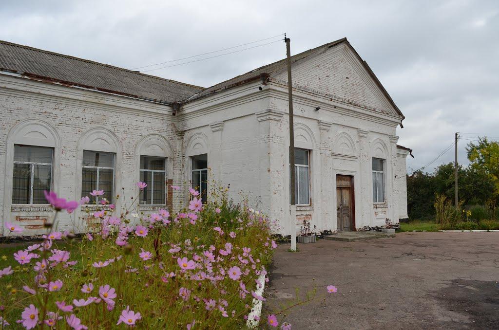 Андріївка з panoramio.com - Андріївка