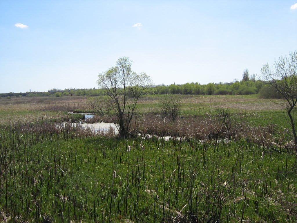 Судилків з panoramio.com - Судилків