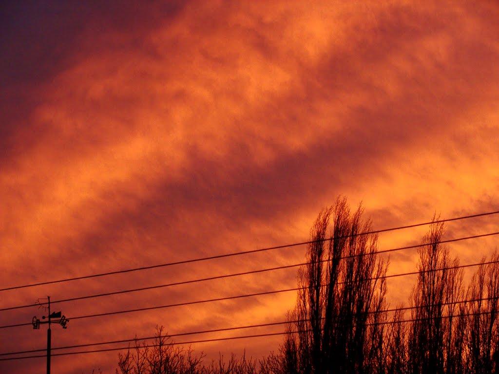 Солоне з panoramio.com - Солоне