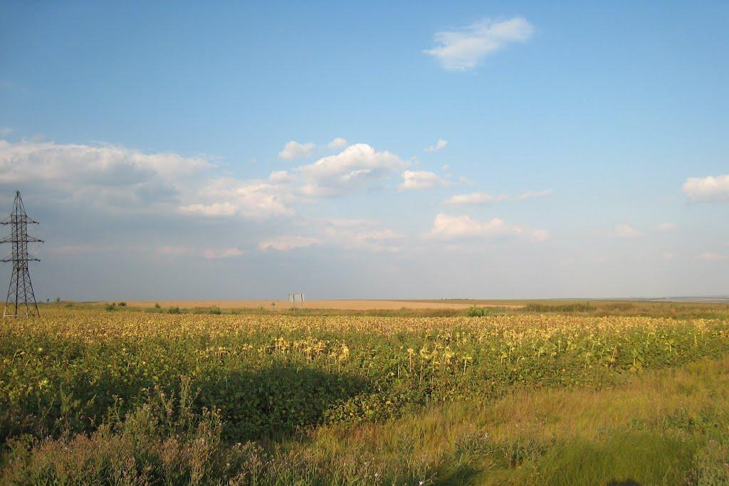 Широкий з panoramio.com - Широкий