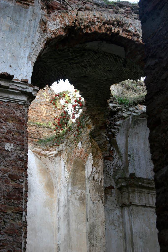 Ізяслав з panoramio.com - Изяслав