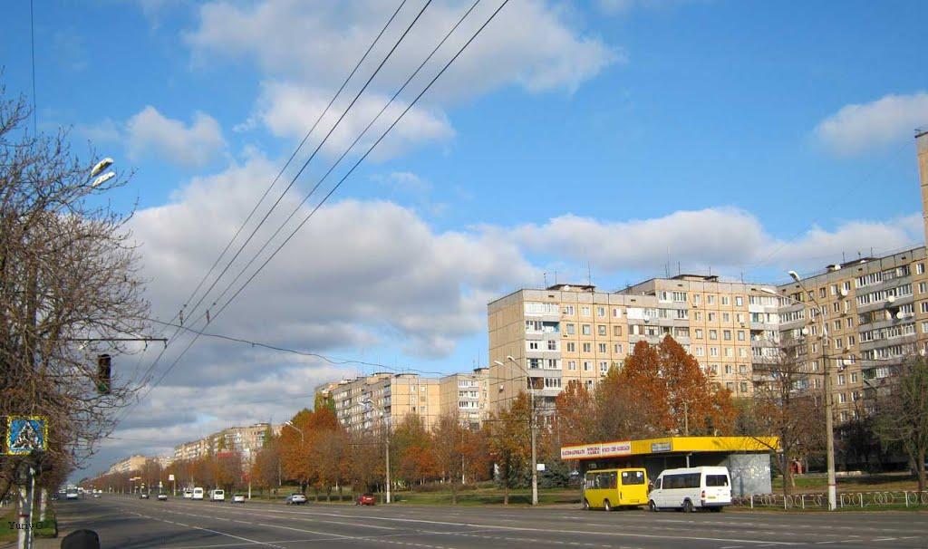 Кривий Ріг з panoramio.com (ч.9) - Кривой Рог