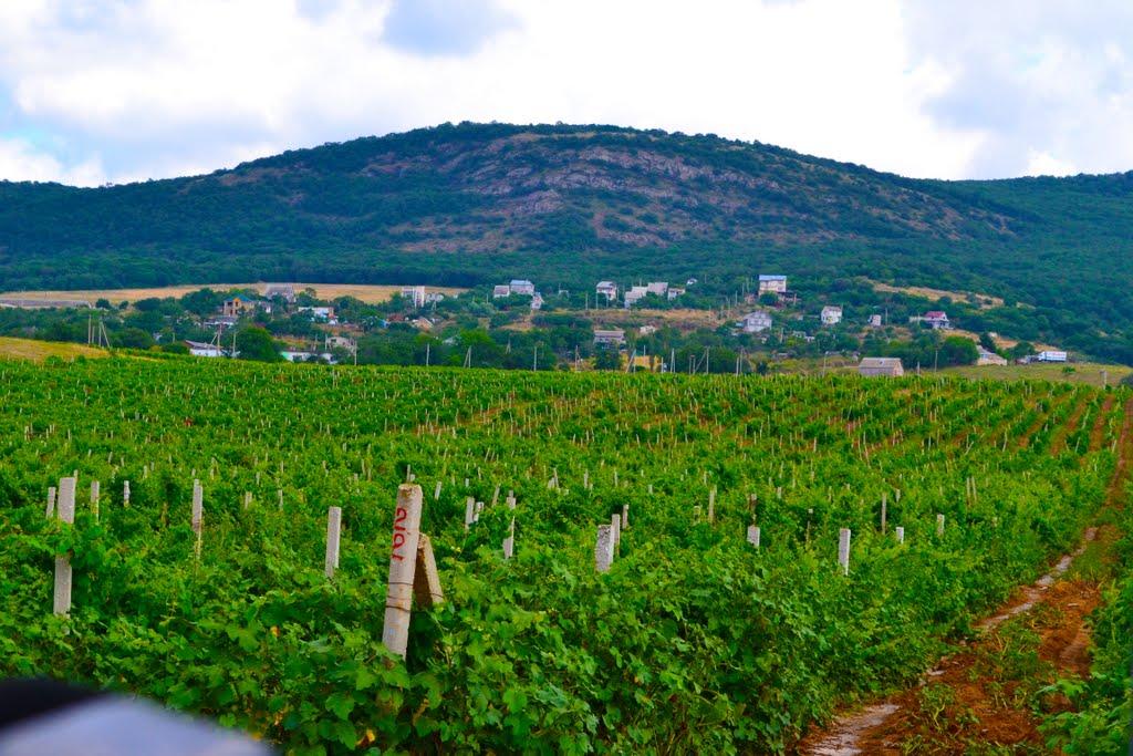 Резервне з panoramio.com (ч.4) - Резервное