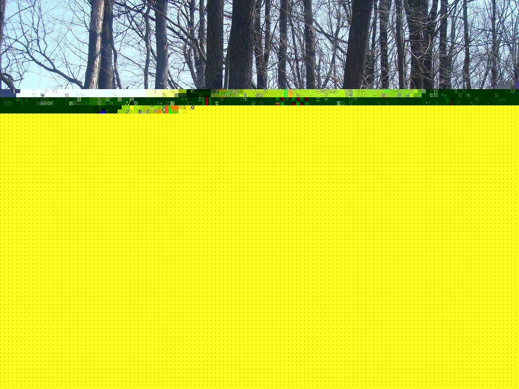 Чапаєвка з panoramio.com - Малі Коростівці