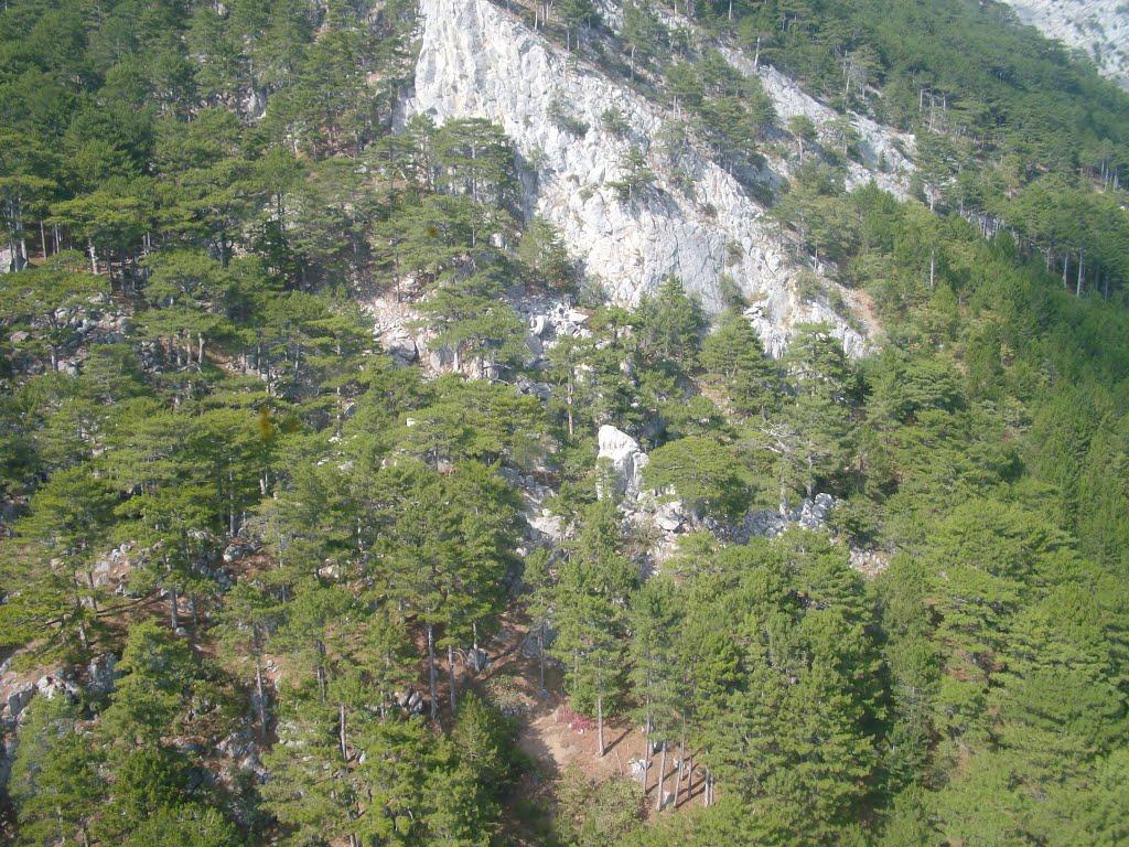 Алупка з panoramio.com (ч.3) - Алупка