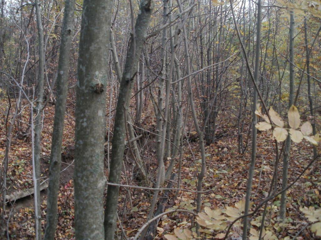 Гунча з panoramio.com - Гунча