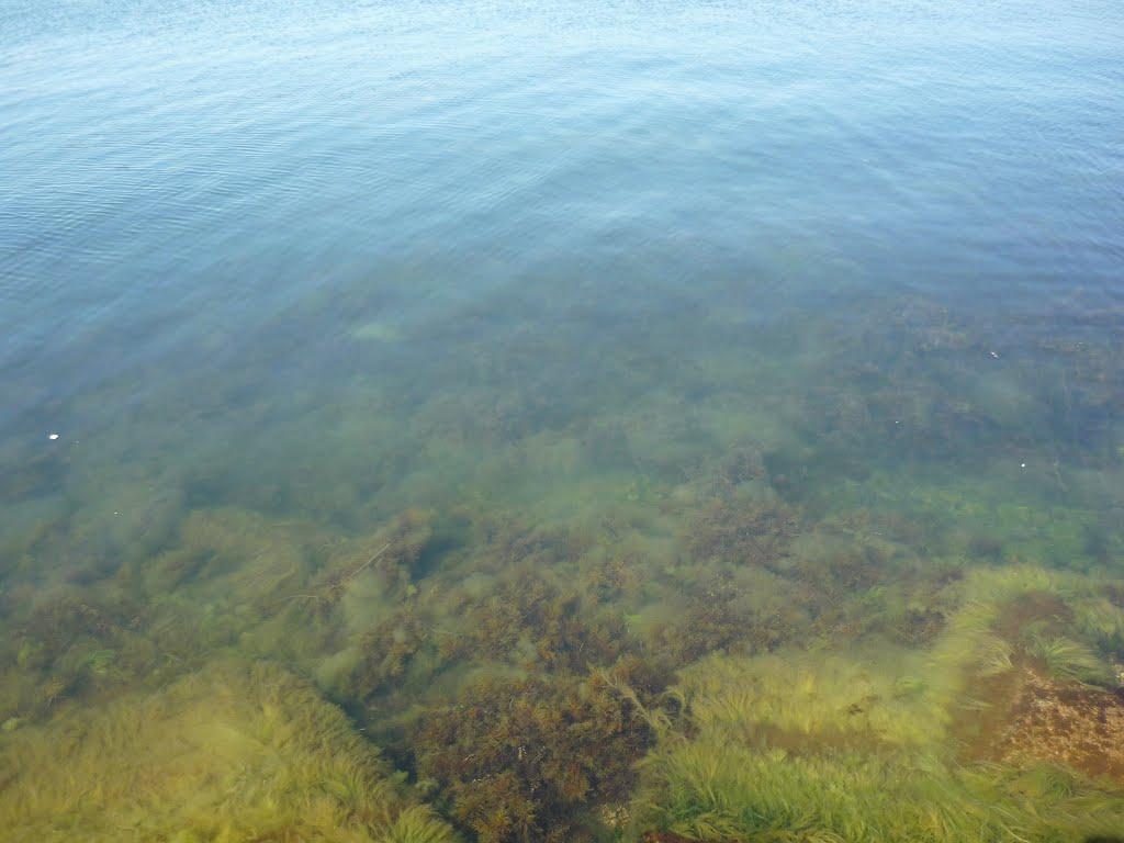 Керч з panoramio.com (ч.4) - Керчь