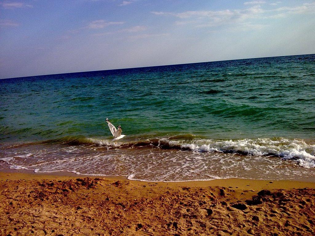 Молочне з panoramio.com - Молочное