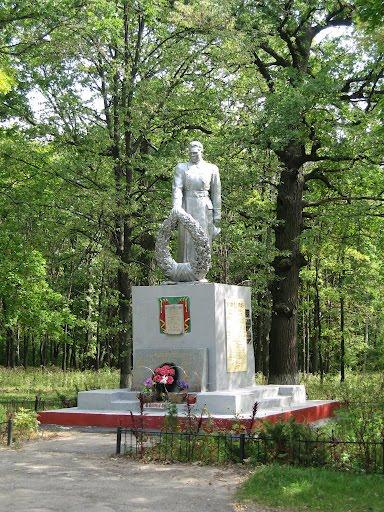 Кочеток з panoramio.com - Кочеток