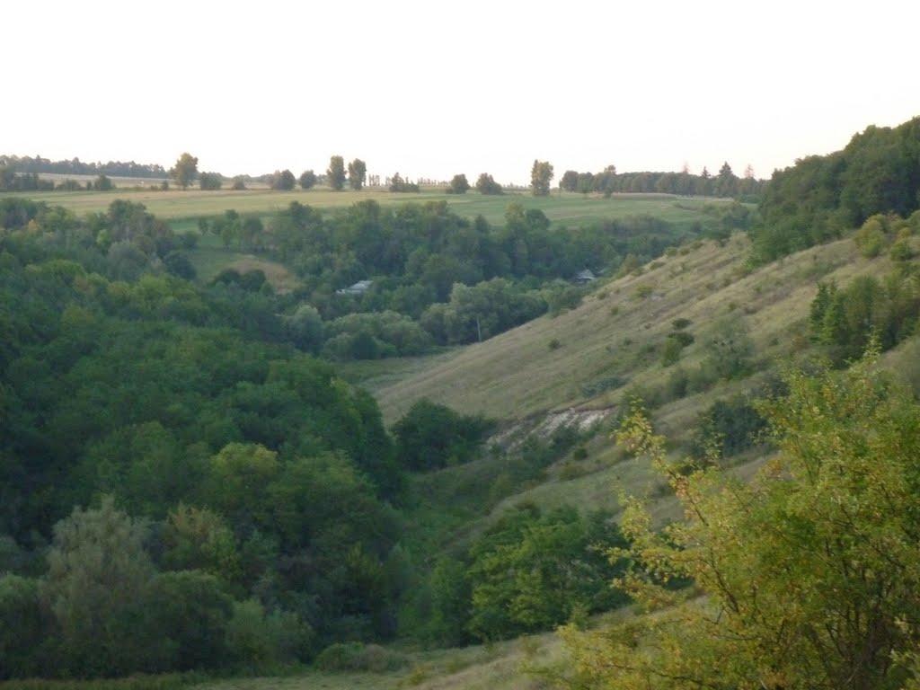 Любомирівка з panoramio.com - Любомирівка