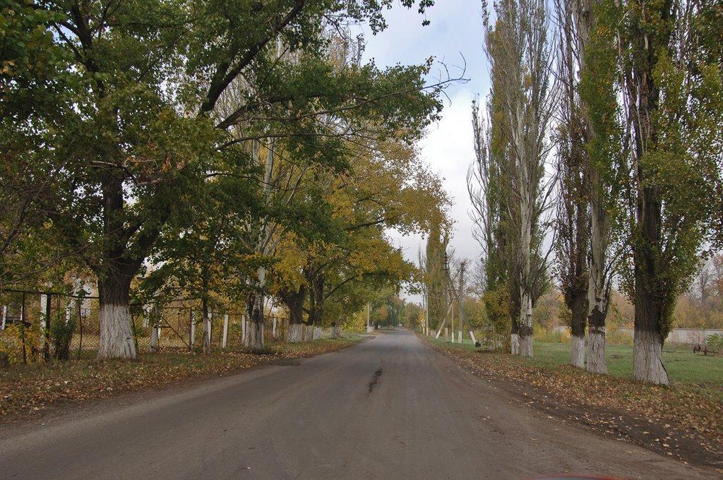 Луганське з panoramio.com (ч.2) - Луганское
