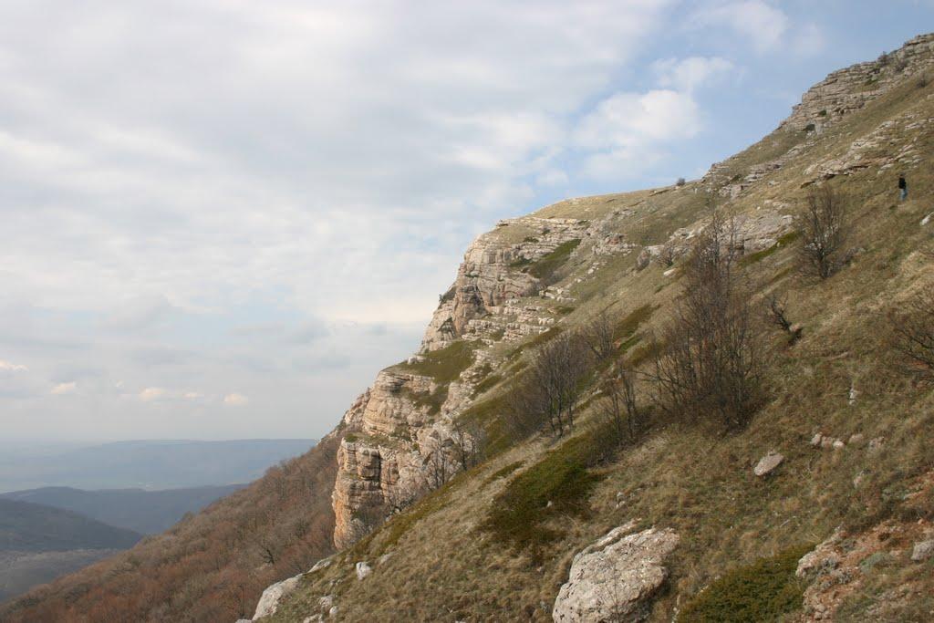 Лаванда з panoramio.com (ч.2) - Лаванда