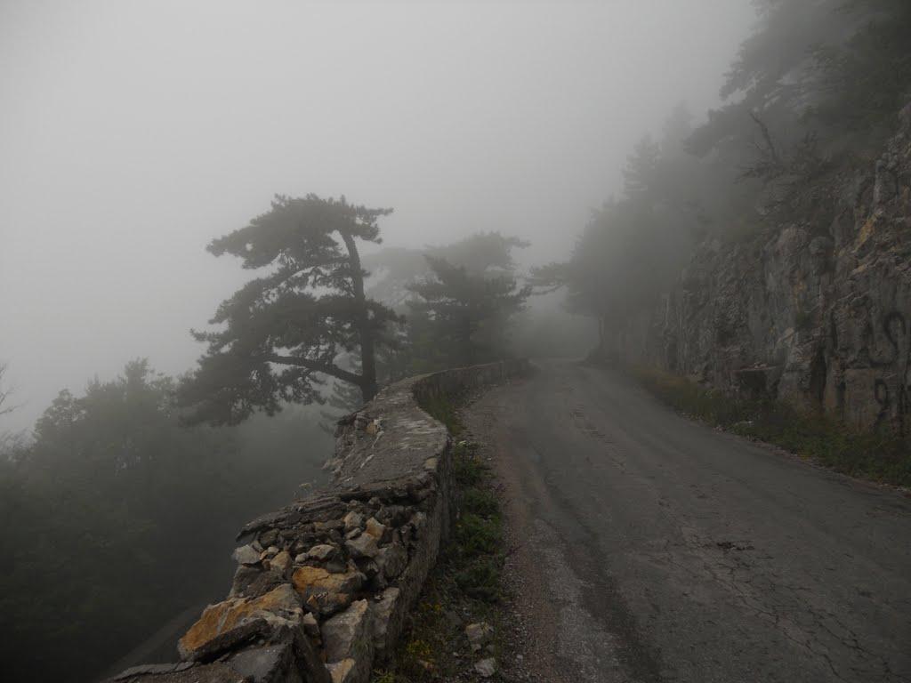Охотниче з panoramio.com (ч.3) - Охотничее