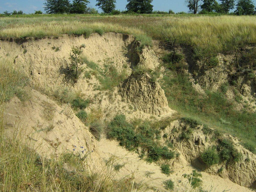 Орлівка з panoramio.com - Орлівка