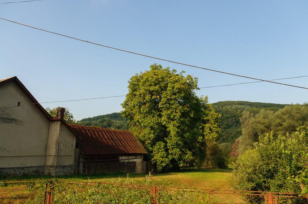 Забрідь з panoramio.com - Забродь