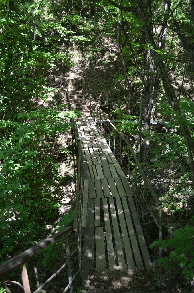 Виноградне з panoramio.com - Виноградное