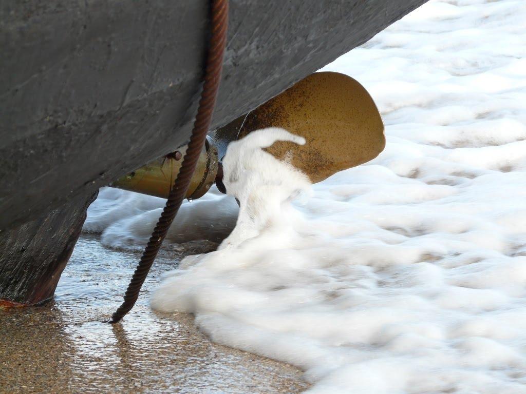 Нова Дофінівка з panoramio.com - Нова Дофінівка