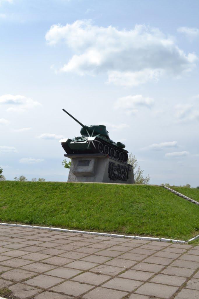 Первозванівка з panoramio.com - Первозванівка