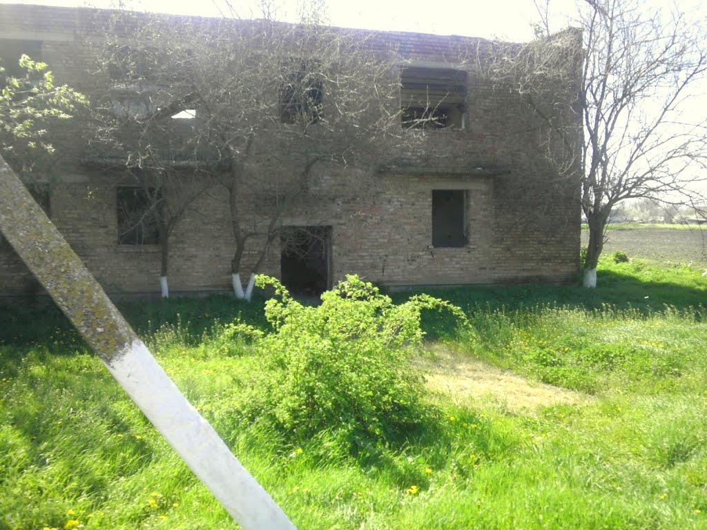 Новомиколаївка з panoramio.com - Новониколаевка