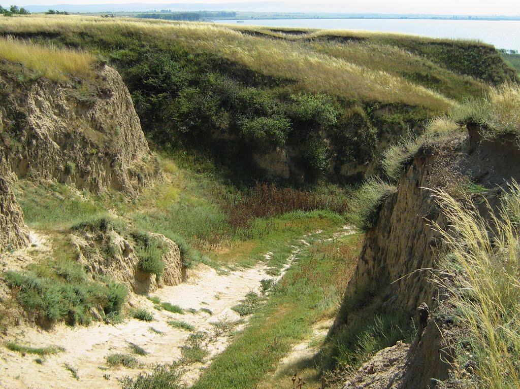 Орлівка з panoramio.com - Орлівка