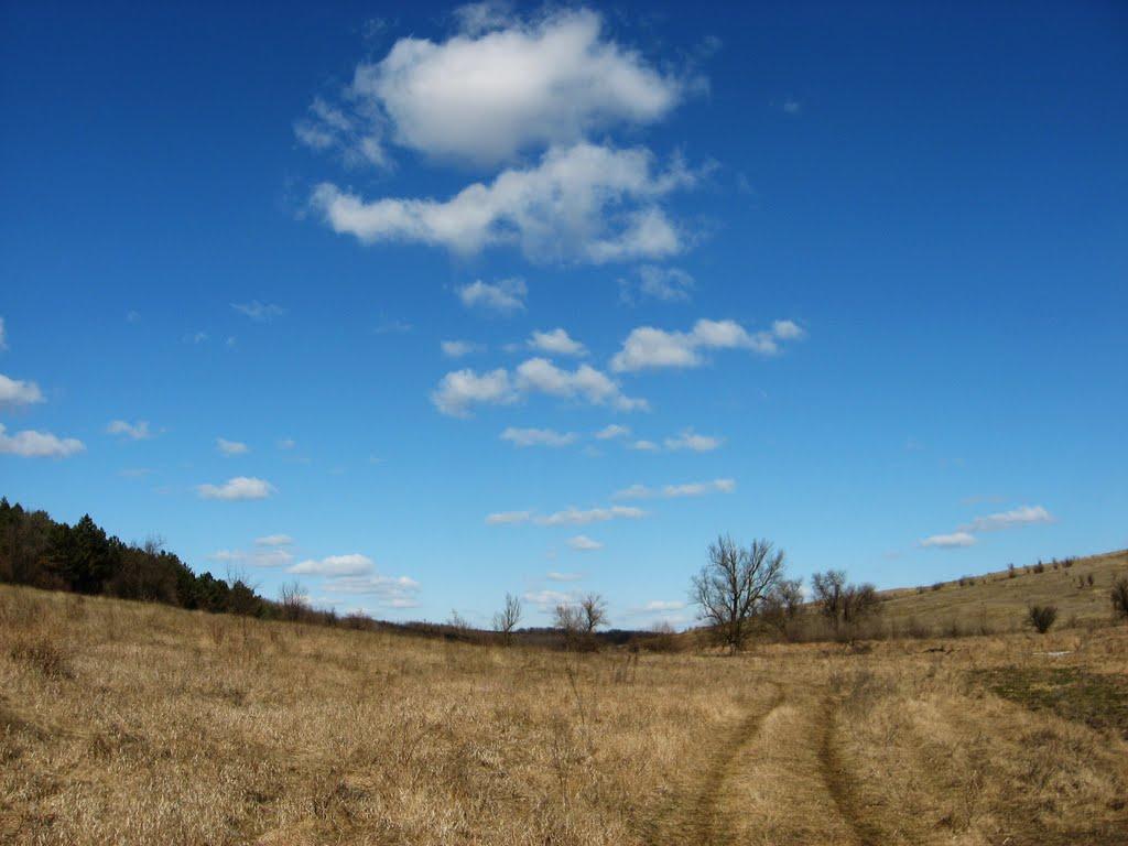 Домниця з panoramio.com - Домниця