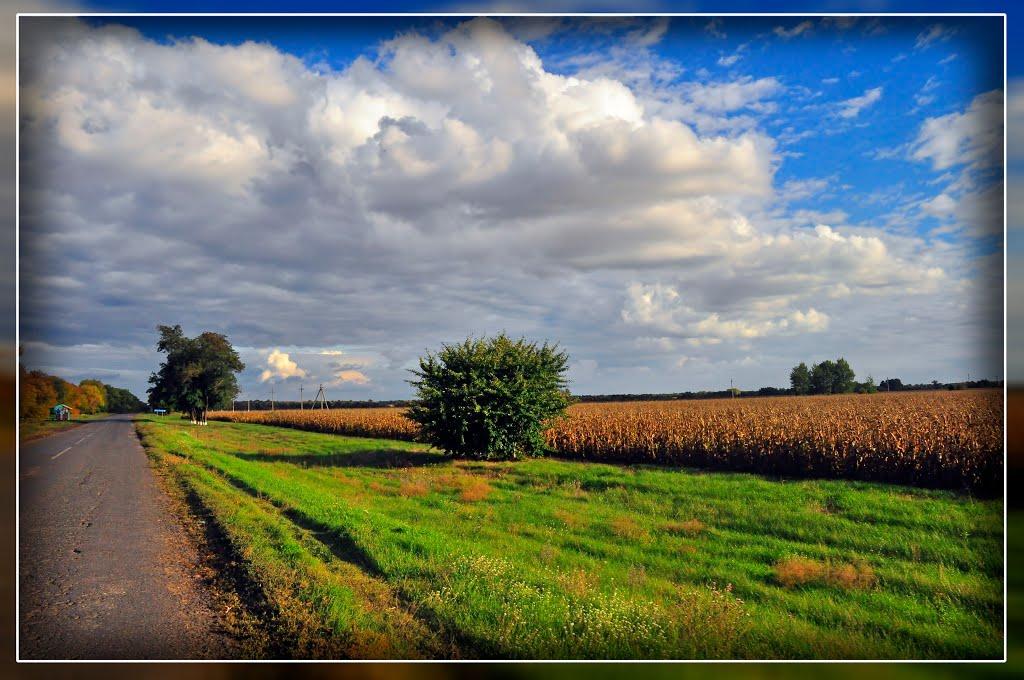 Великі Солонці з panoramio.com - Великі Солонці