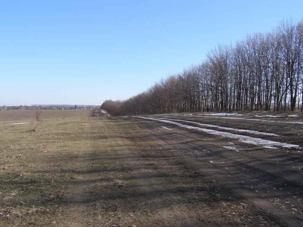 Росоша з panoramio.com - Росоша