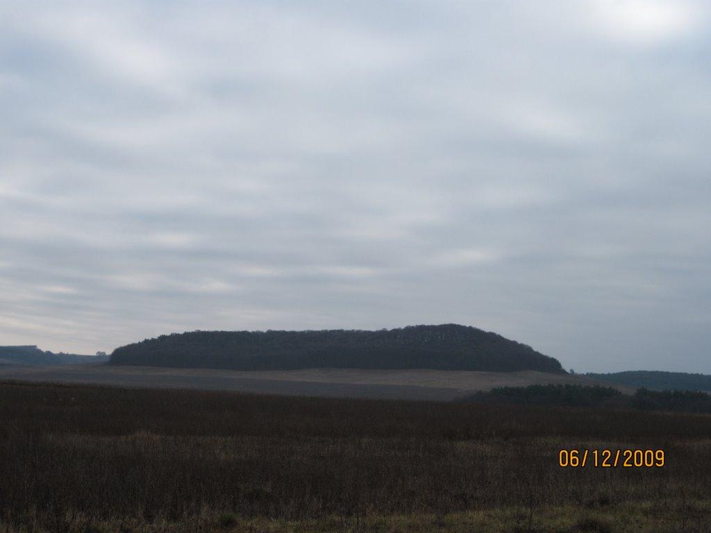 Сасів з panoramio.com - Сасів