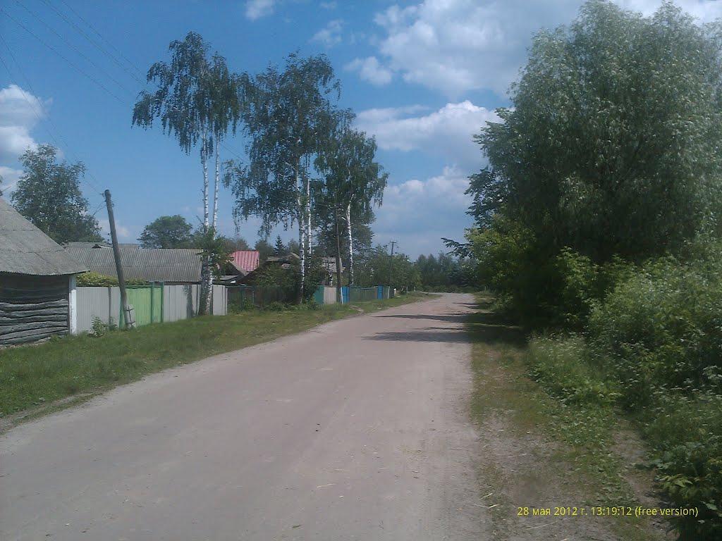 Вихвостів з panoramio.com - Вихвостів
