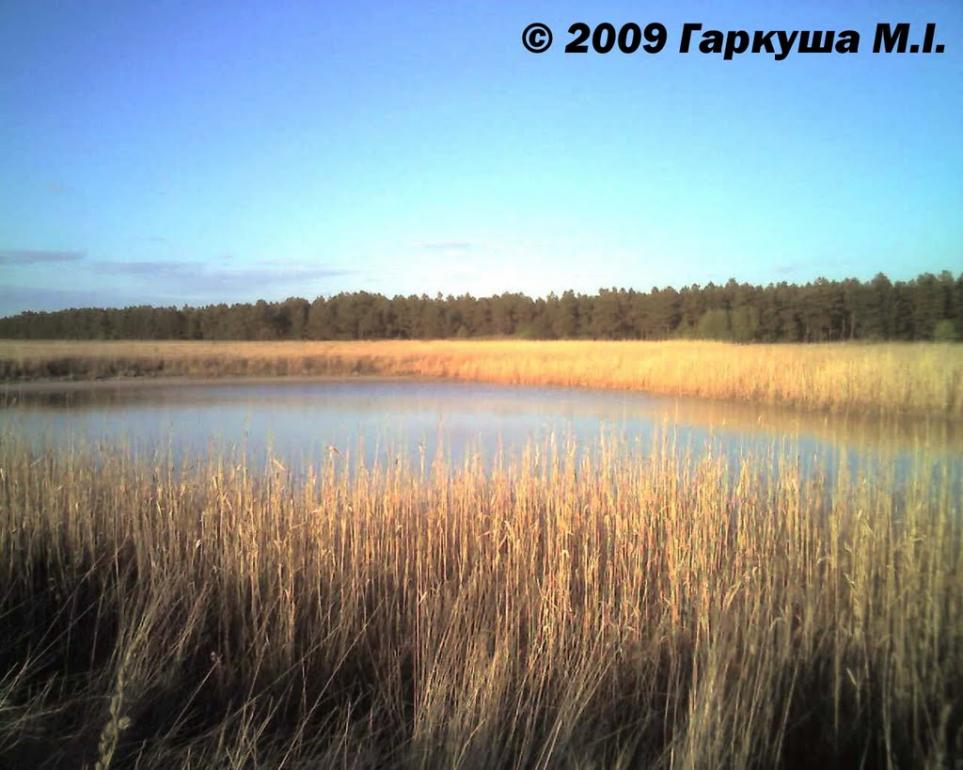 Буркути з panoramio.com - Буркути