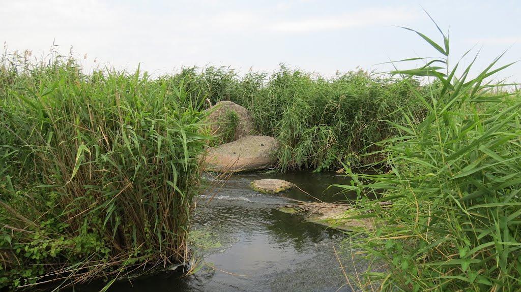 Токівське з panoramio.com - Токівське