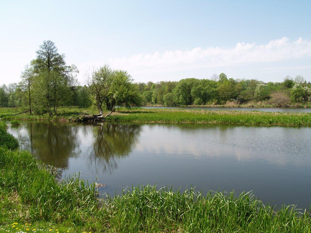 Миропіль з panoramio.com - Миропіль