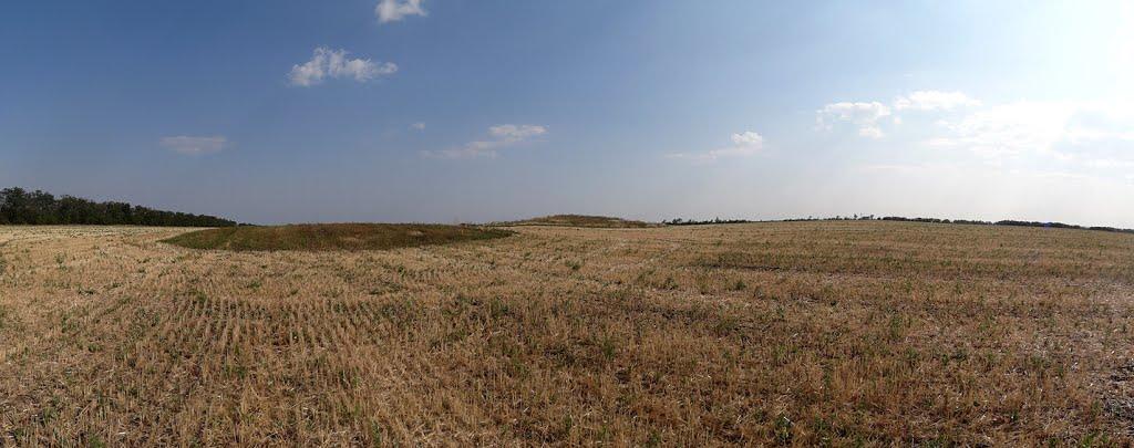 Новосолдатське з panoramio.com - Новосолдатское