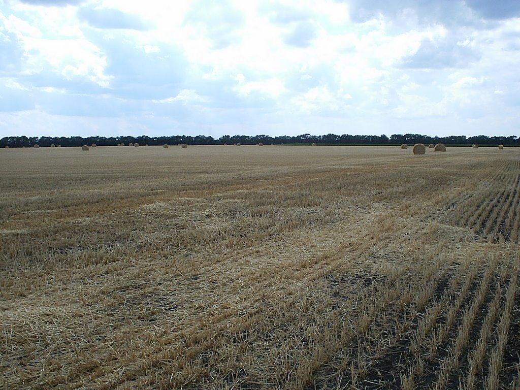 Степ з panoramio.com - Степ