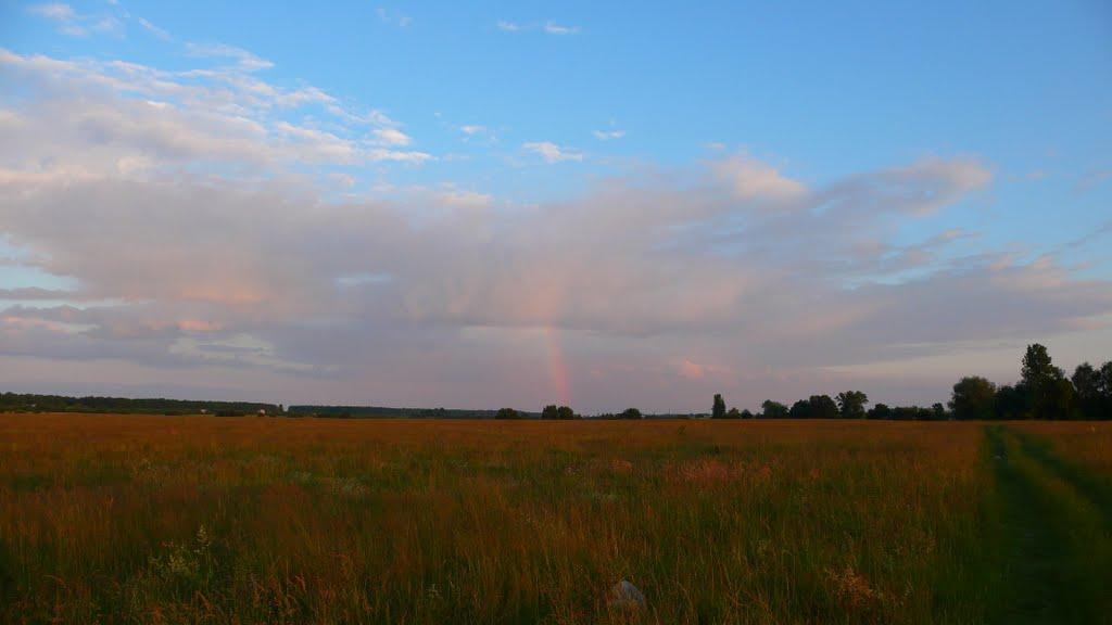 Кам'янобрід з panoramio.com - Кам'янобрід