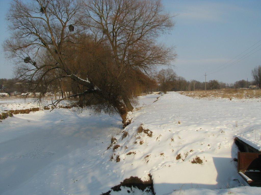 Мліїв з panoramio.com - Млиев