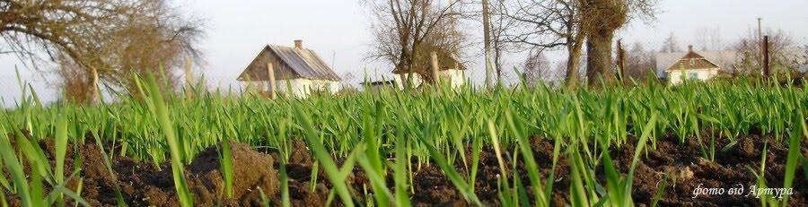 Звози з panoramio.com - Звози