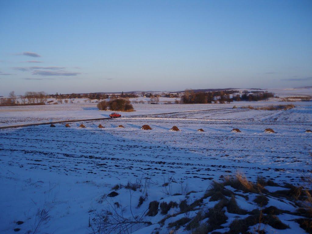 Рогізне з panoramio.com - Рогізне