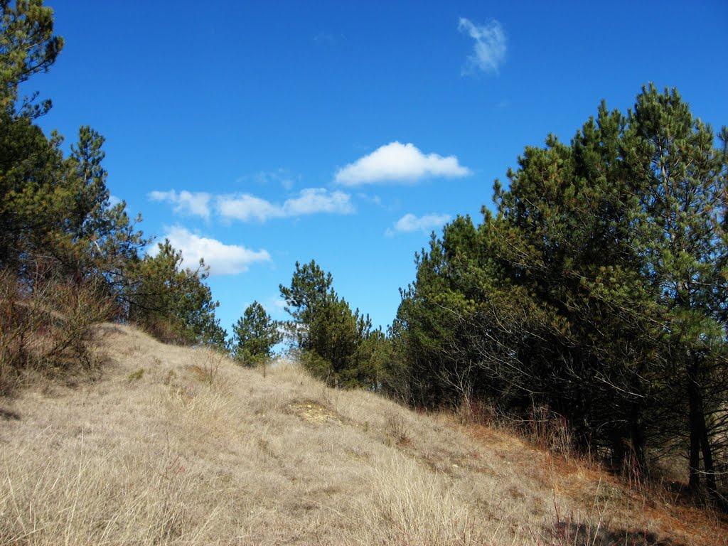 Домниця з panoramio.com - Домниця