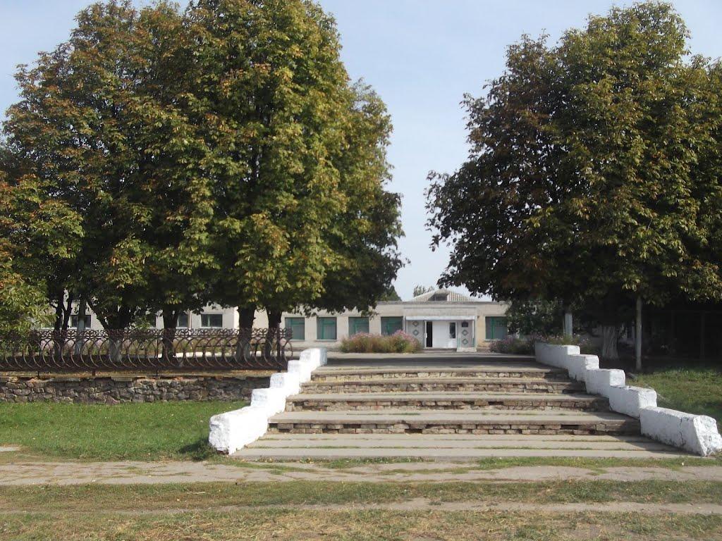 Нова Кам'янка з panoramio.com - Нова Кам'янка