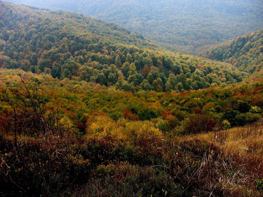 Лубня з panoramio.com (ч.3) - Лубня