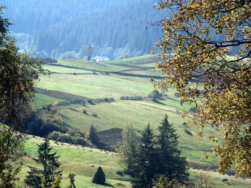 Вишків з panoramio.com - Вишків