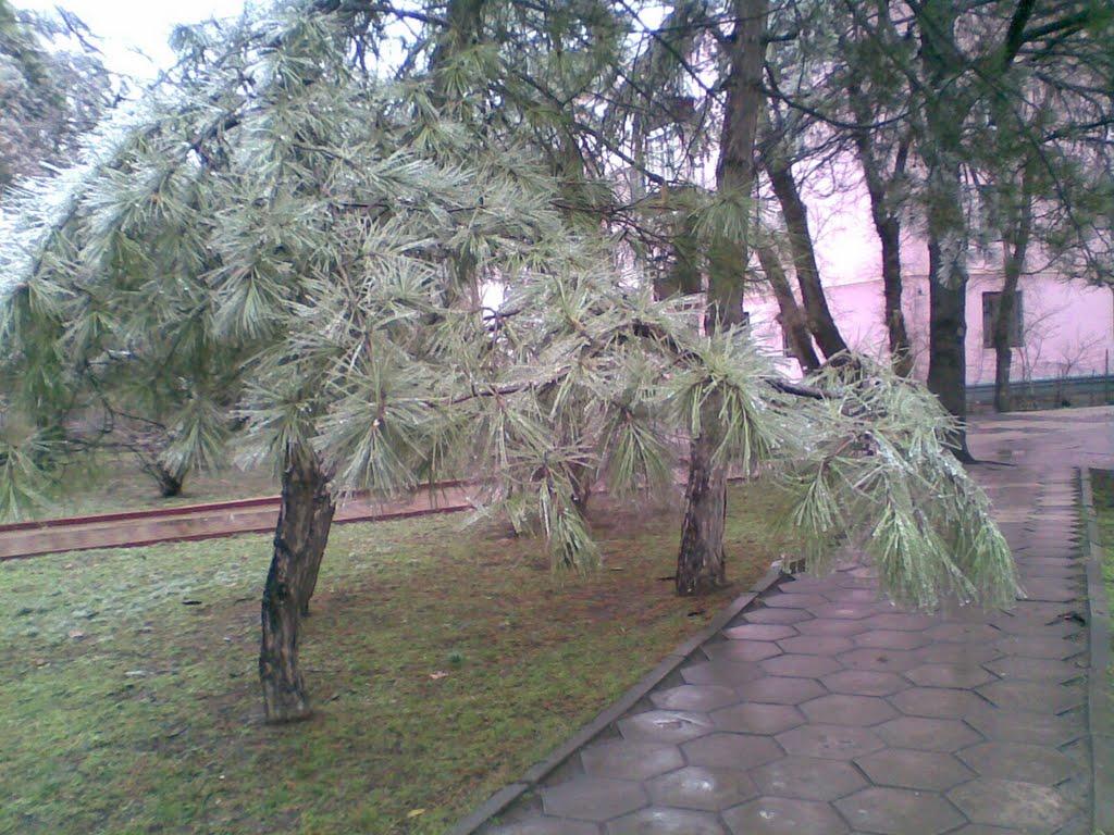 Феодосія з panoramio.com (ч.4) - Pheodosia