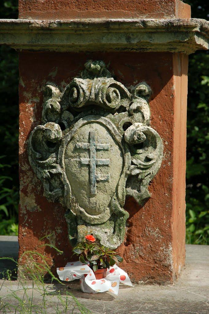 Велика Вільшаниця з panoramio.com - Велика Вільшаниця