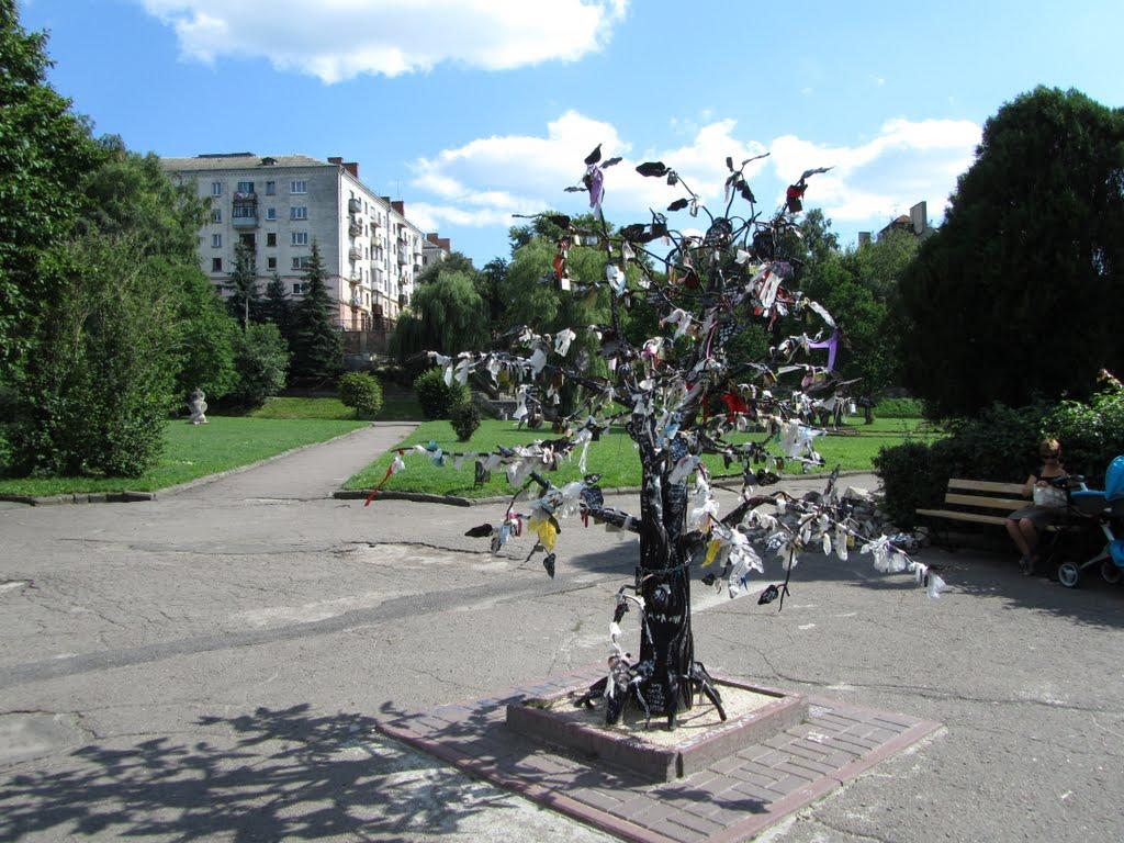 Петриків з panoramio.com (ч.2) - Петриків